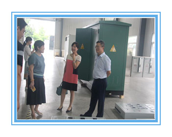 六合區人大代表來我司進行調研